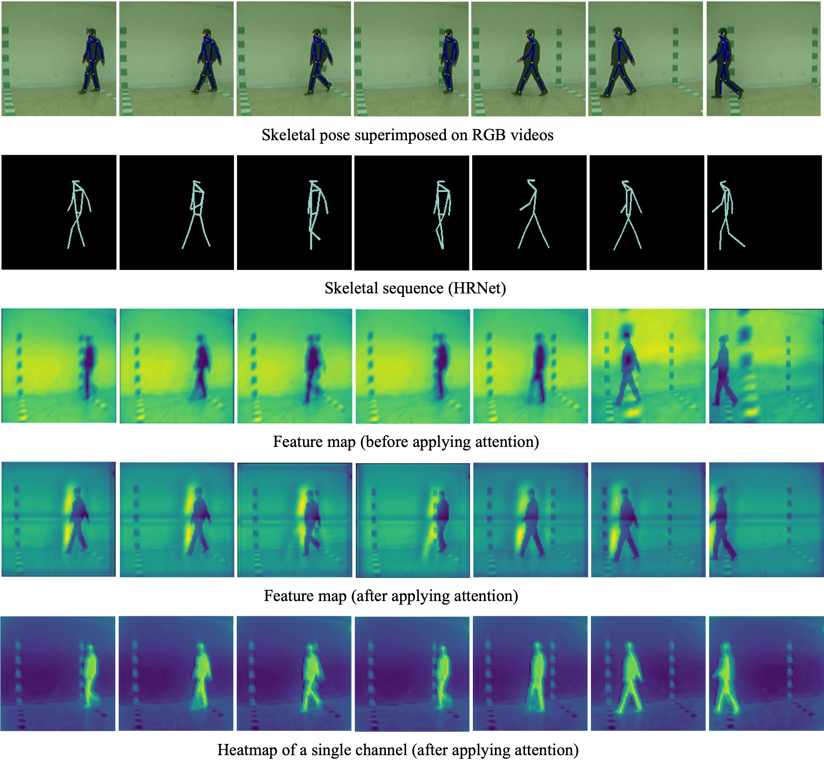 Person Identification Using Gait project preview